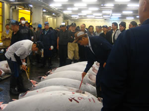 Cooper,%20Leora_Tsukiji%20Fish%20Market