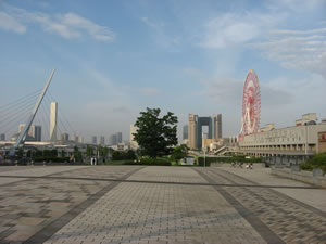 O'Connell,%20Chris_Odaiba