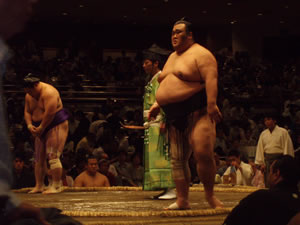 Sumo_Lagoudas,%20Georgia